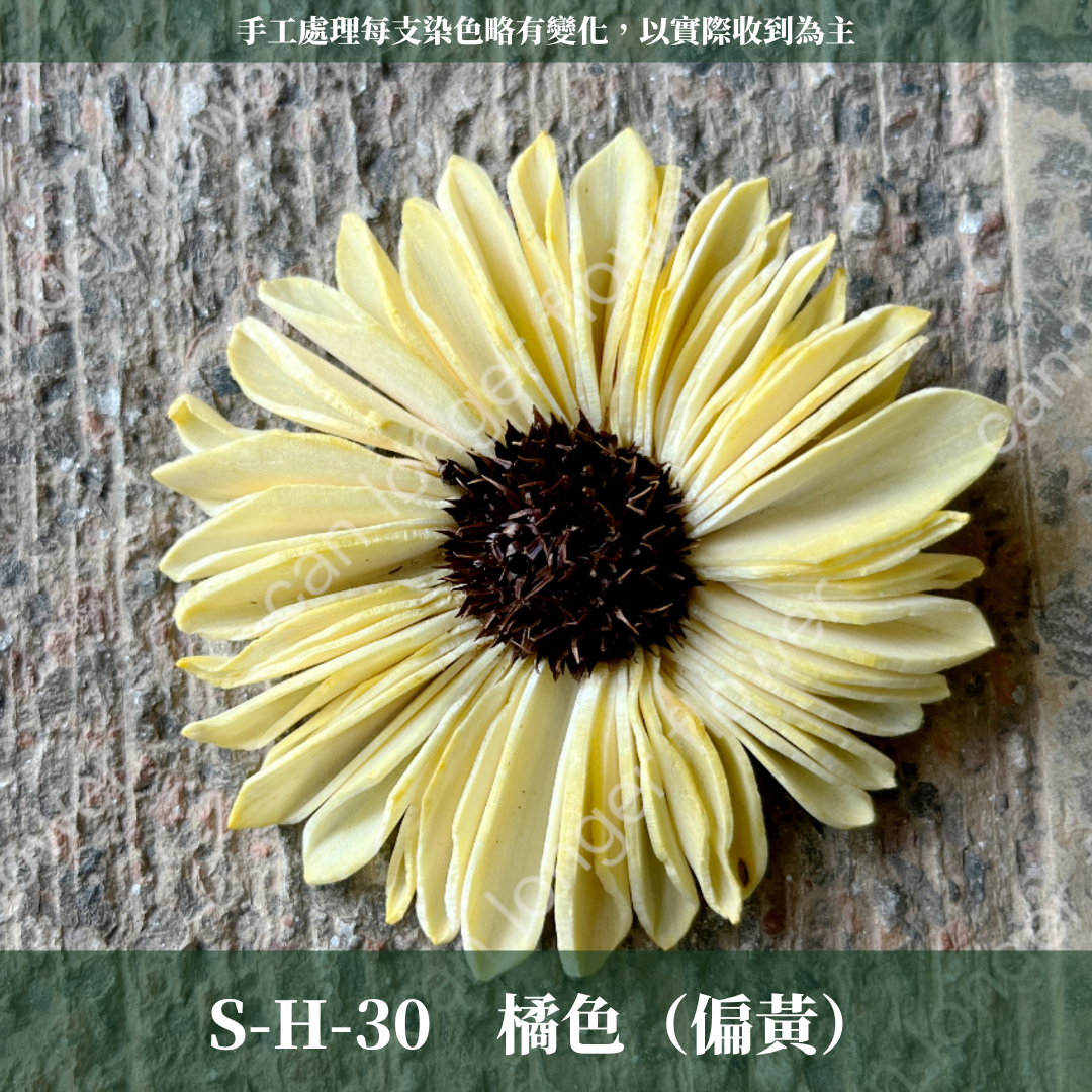 ✿ 台灣現貨 ✿ S-H 索拉花 6CM 通草花 擴香花
