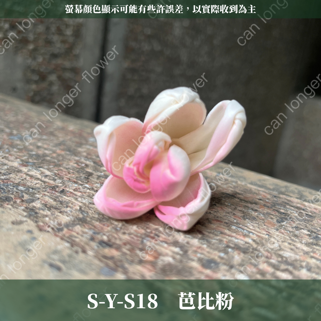 S-Y 索拉花 4CM 通草花 擴香花 台灣現貨