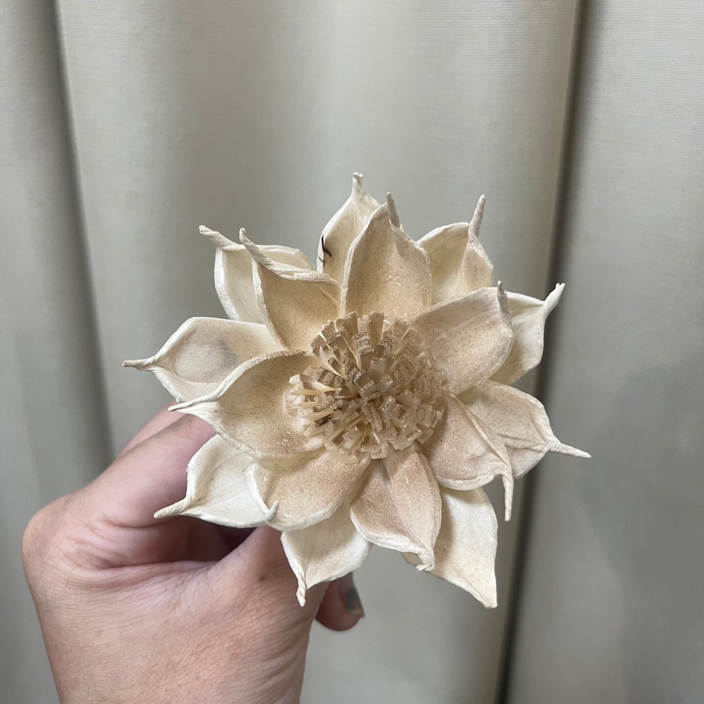 ✿ 台灣現貨 ✿ S-N索拉花 8CM 通草花 擴香花 梔子花