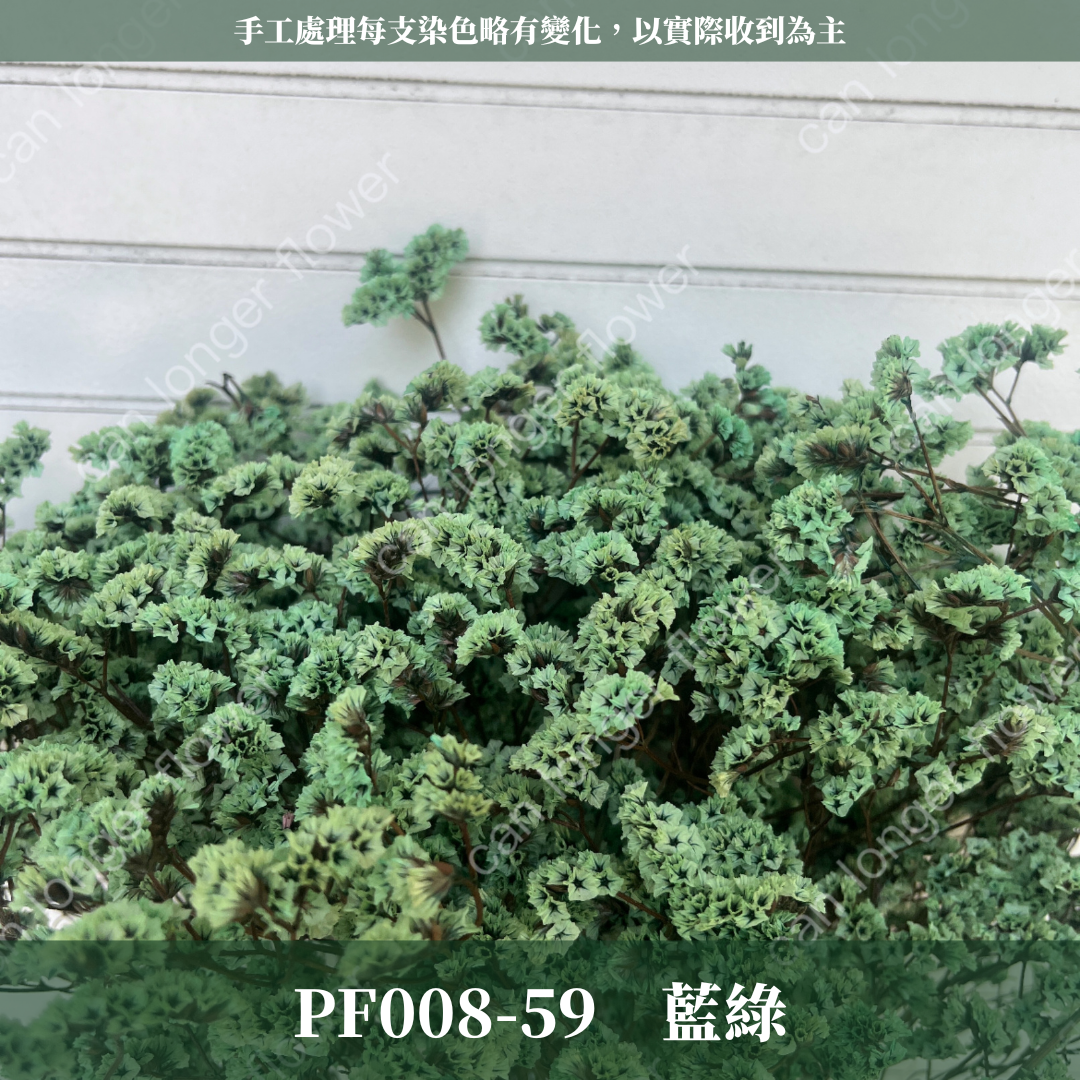 PF008水晶花 原裝 台灣現貨