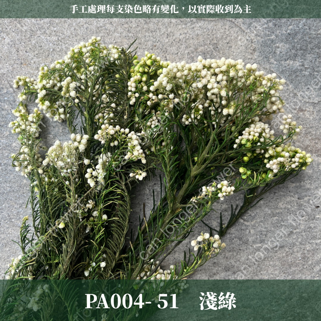 ✿ 台灣現貨 ✿ PA004 米香 水稻花 小米花