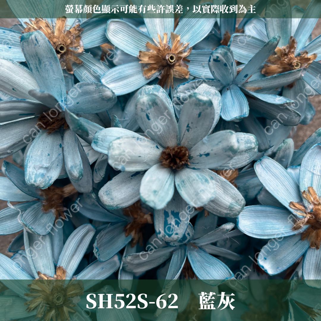 SH52S 瓜子花花頭 單朵 台灣現貨
