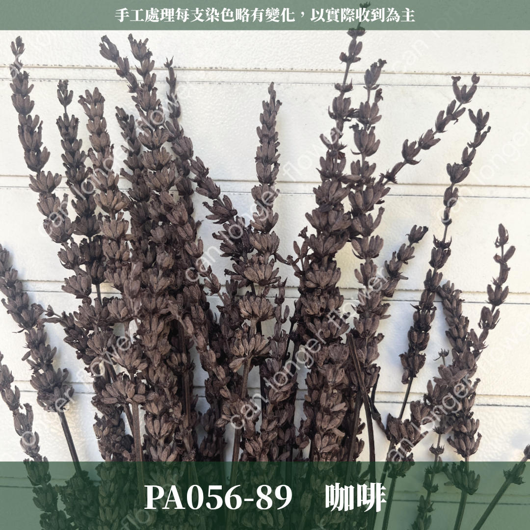 ✿ 台灣現貨 ✿ PA056 薰衣草 原裝