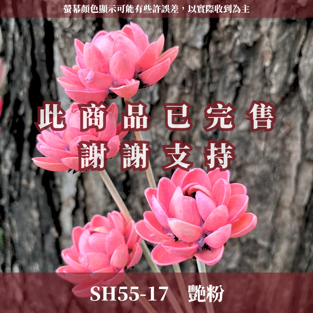 SH55 木蓮花 原裝 10支裝 台灣現貨