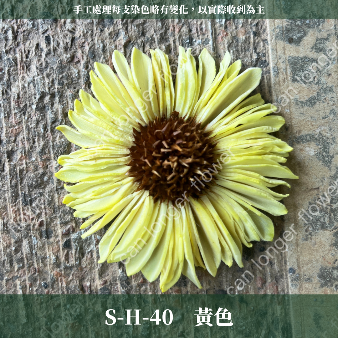 ✿ 台灣現貨 ✿ S-H 索拉花 6CM 通草花 擴香花