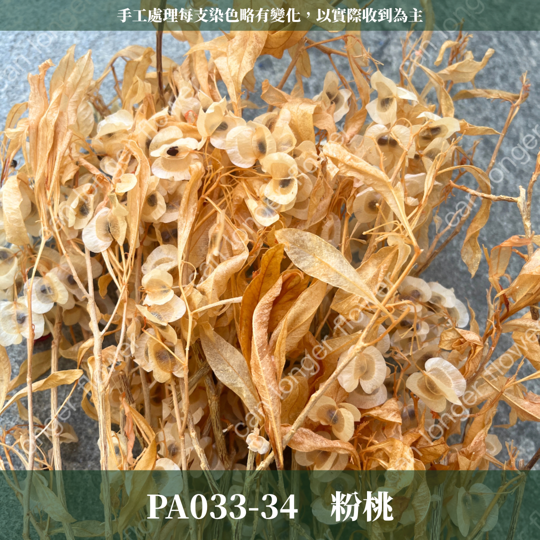 ✿ 台灣現貨 ✿ PA033 蝴蝶花 原裝
