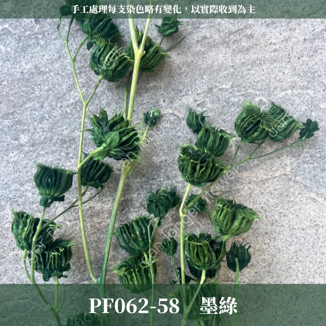 ✿ 台灣現貨 ✿ PA062 年輪果
