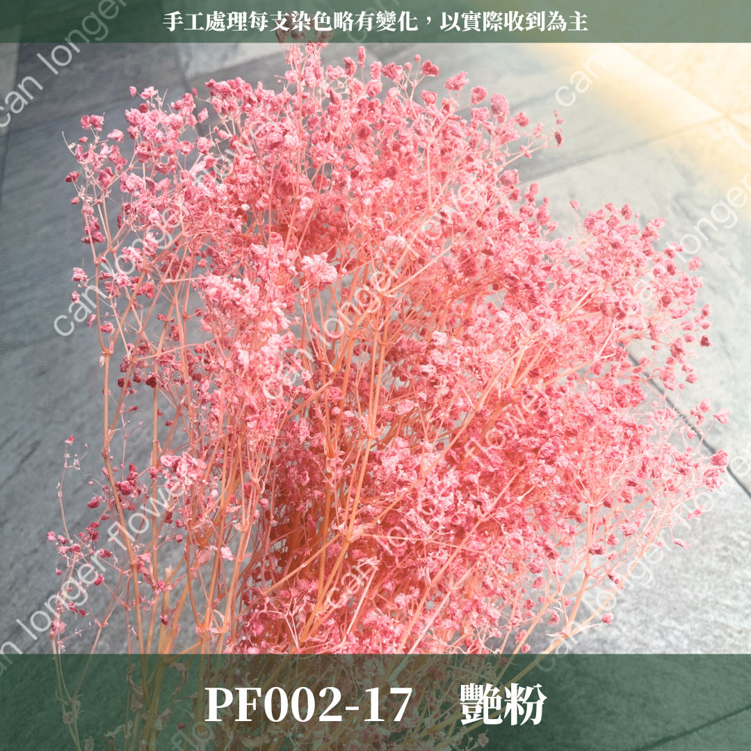 ✿ 台灣現貨 ✿ PF002 夢幻星