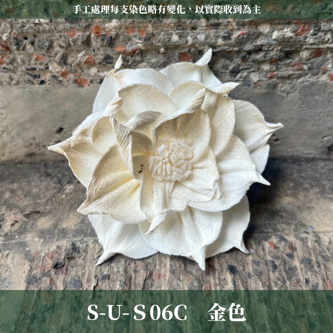 ✿ 台灣現貨 ✿ S-U 索拉花 6CM 通草花 擴香花