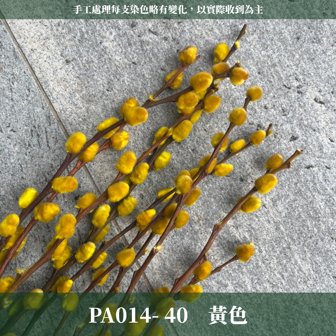 ✿ 台灣現貨 ✿ PA014s 銀柳 小包 貓柳 細柱柳 (副本)