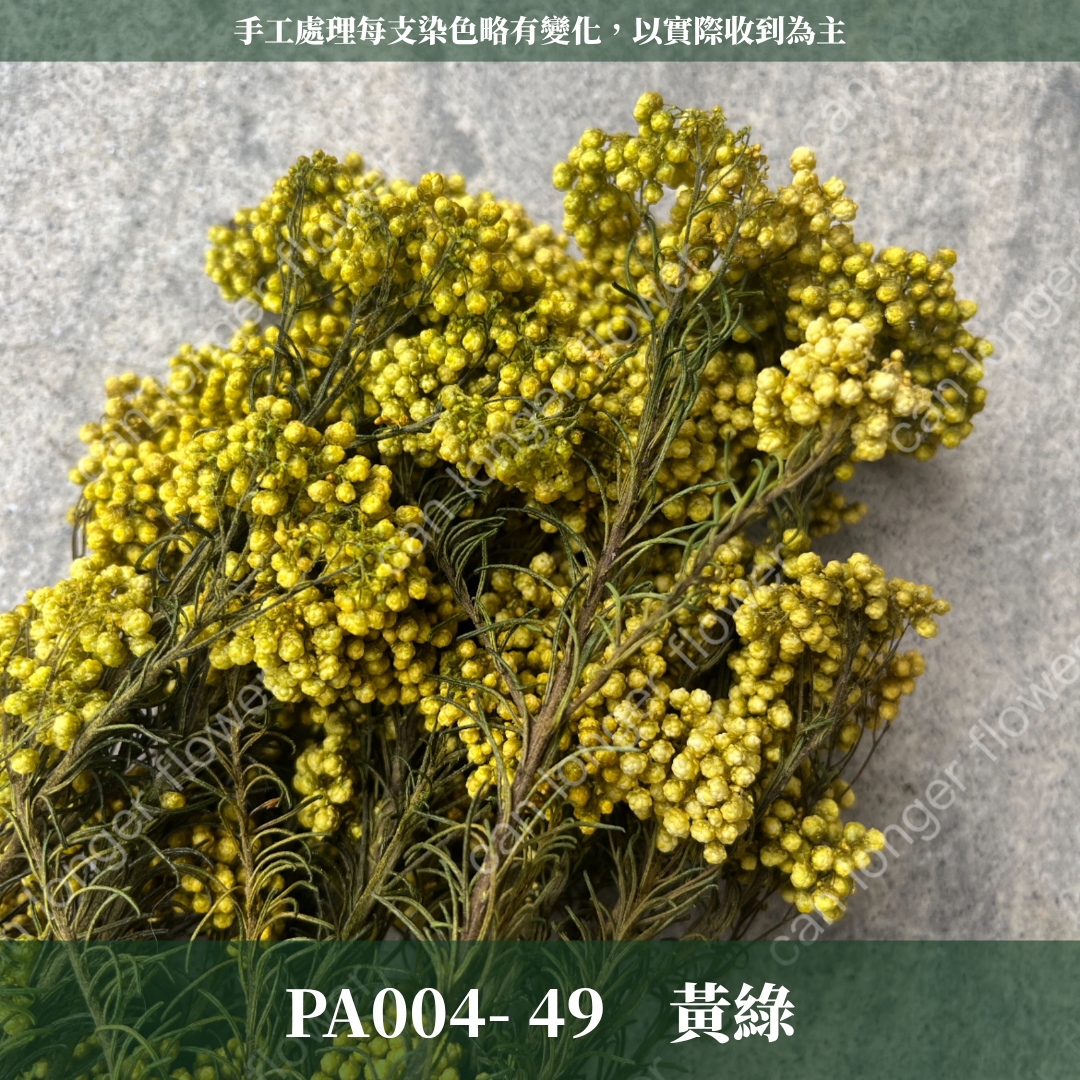✿ 台灣現貨 ✿ PA004 米香 水稻花 小米花