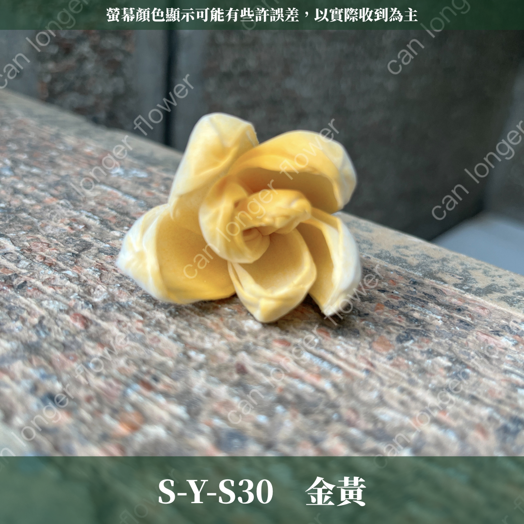S-Y 索拉花 4CM 通草花 擴香花 台灣現貨