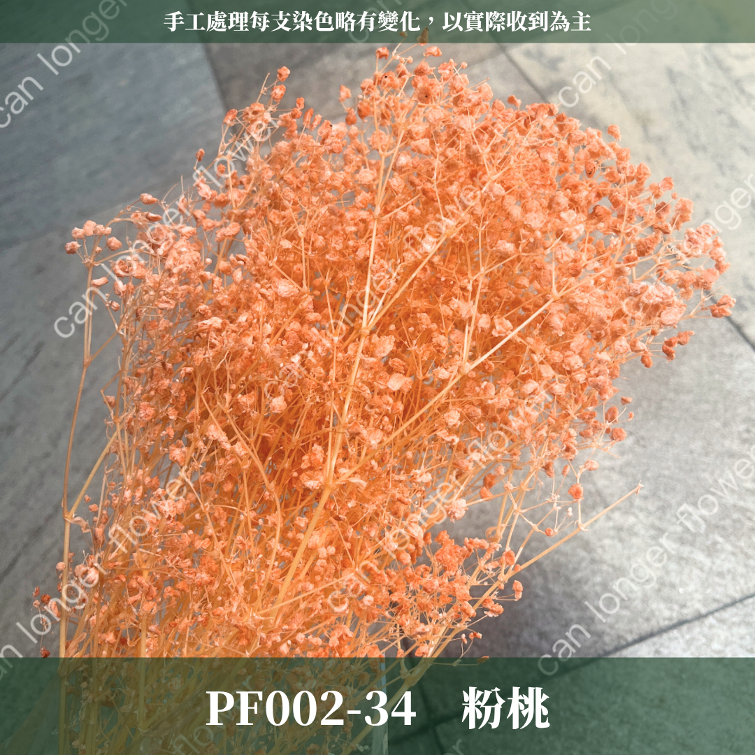 ✿ 台灣現貨 ✿ PF002 夢幻星