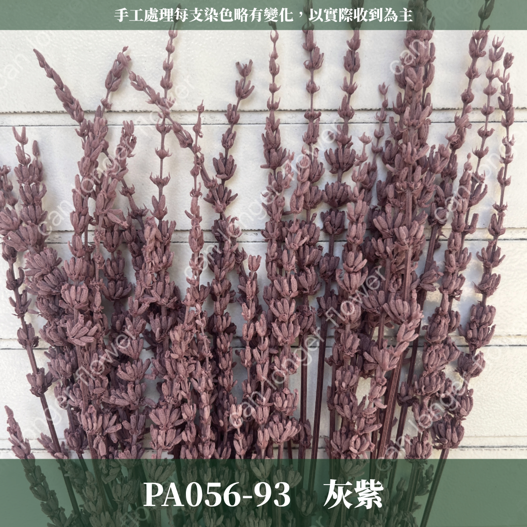 ✿ 台灣現貨 ✿ PA056 薰衣草 原裝