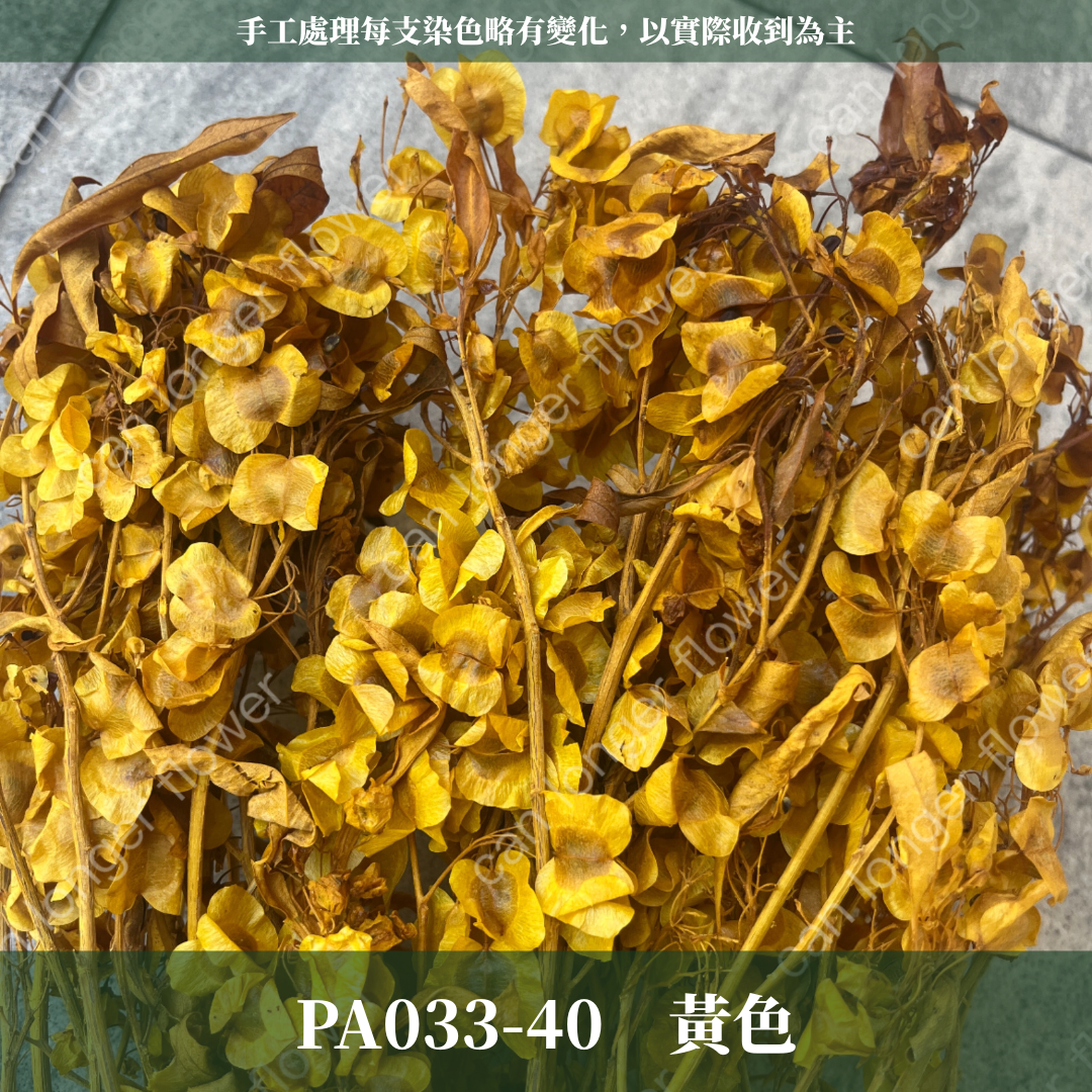 ✿ 台灣現貨 ✿ PA033 蝴蝶花 原裝
