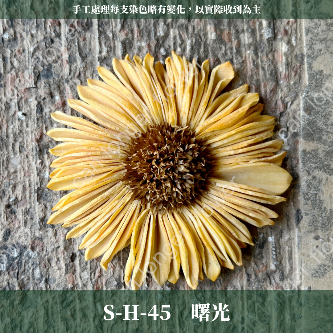 ✿ 台灣現貨 ✿ S-H 索拉花 6CM 通草花 擴香花