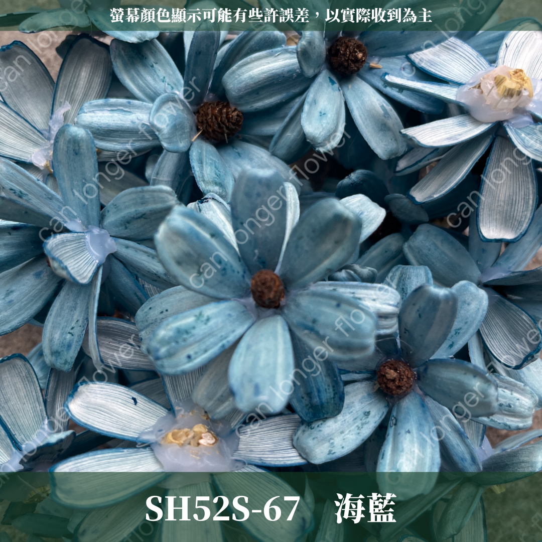 SH52S 瓜子花花頭 單朵 台灣現貨