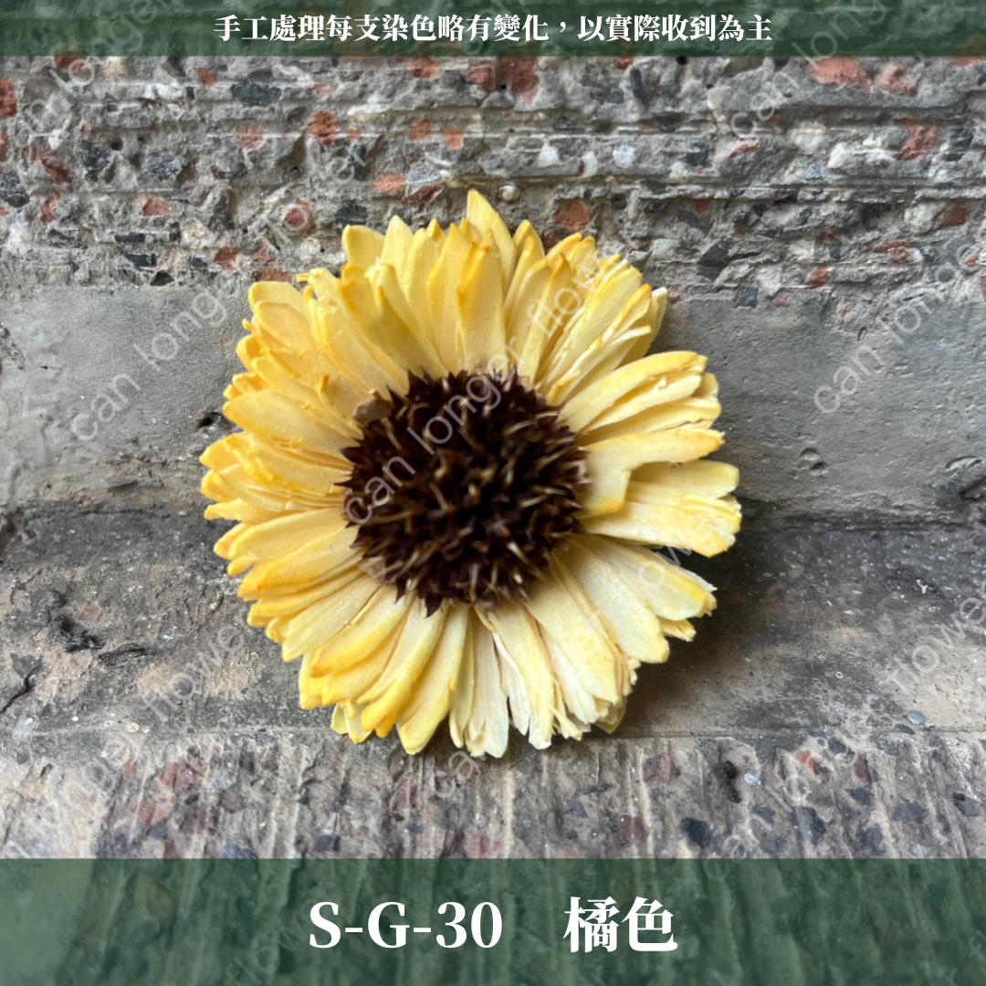 ✿ 台灣現貨 ✿ S-G 索拉花 6CM 通草花 擴香花