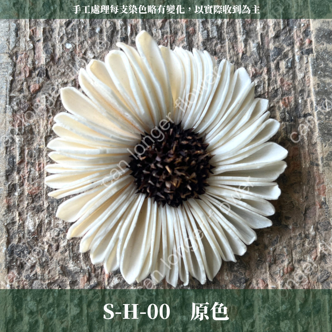 ✿ 台灣現貨 ✿ S-H 索拉花 6CM 通草花 擴香花
