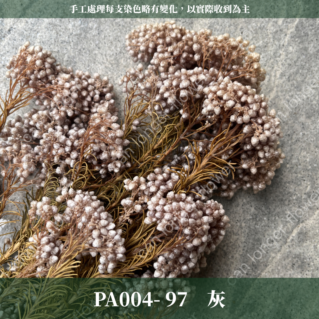 ✿ 台灣現貨 ✿ PA004 米香 水稻花 小米花