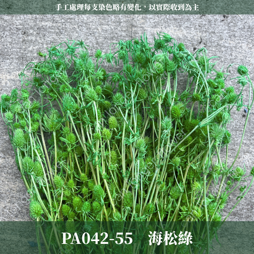 ✿ 台灣現貨 ✿ PA042 小薊果 紫薊花 刺芹花 小薊花