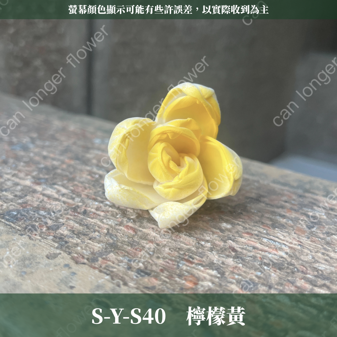 S-Y 索拉花 4CM 通草花 擴香花 台灣現貨