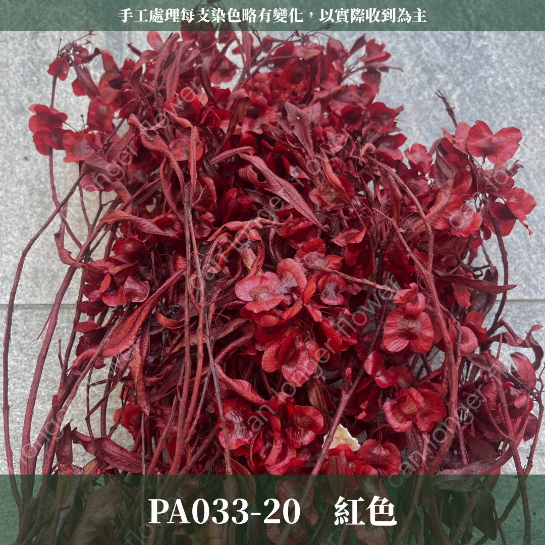 ✿ 台灣現貨 ✿ PA033 蝴蝶花 原裝