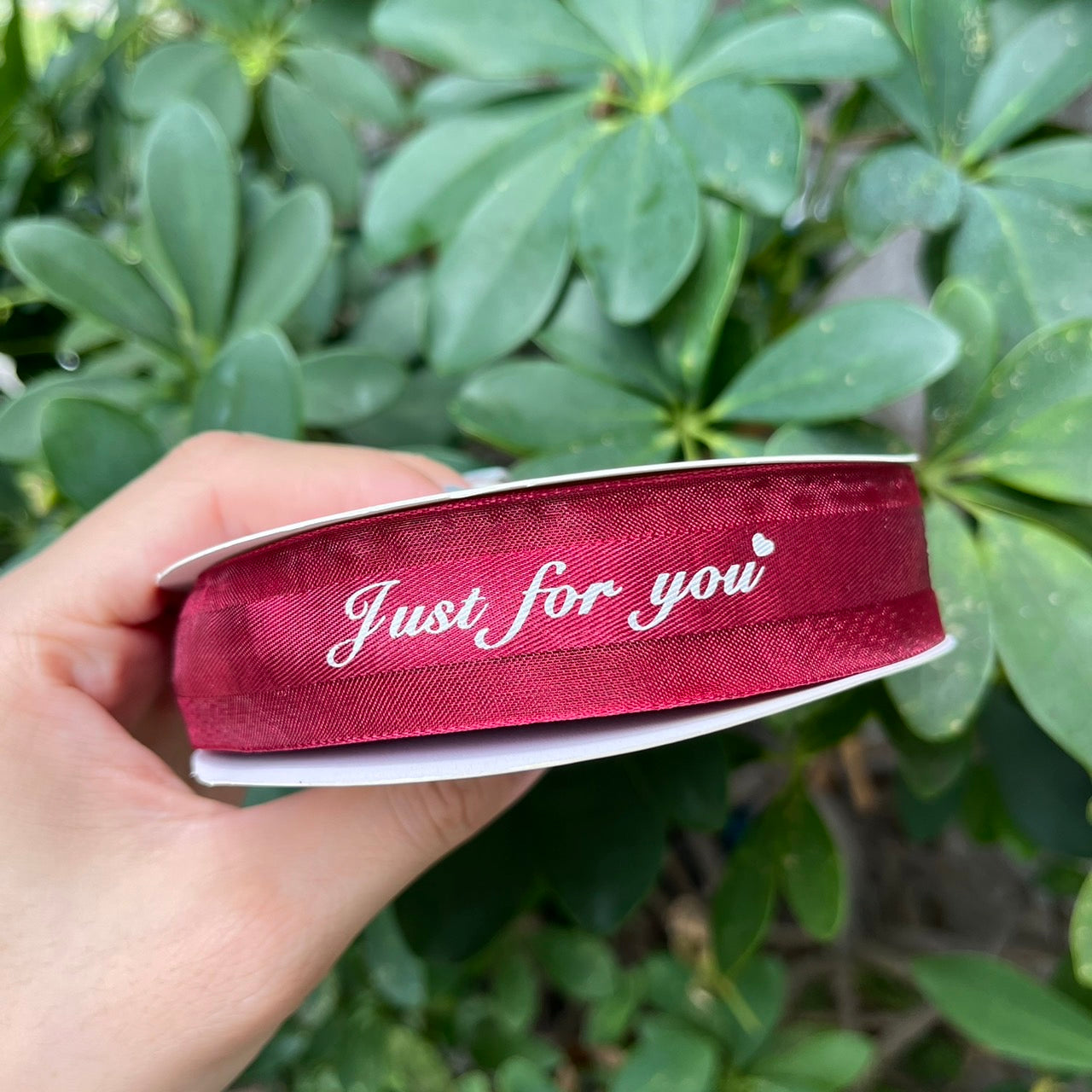 EP216緞帶(just for you)2.5cm