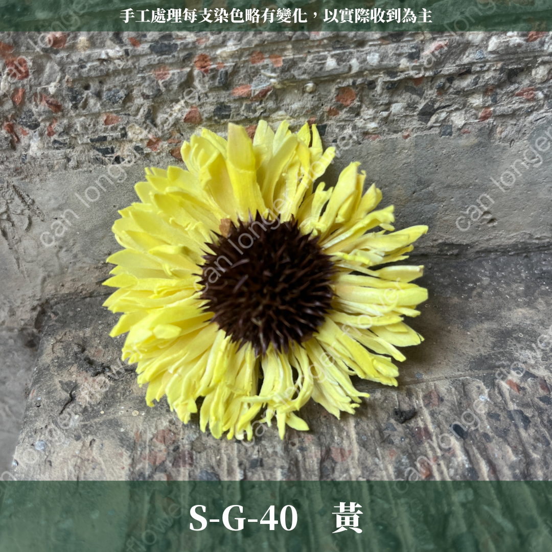 ✿ 台灣現貨 ✿ S-G 索拉花 6CM 通草花 擴香花