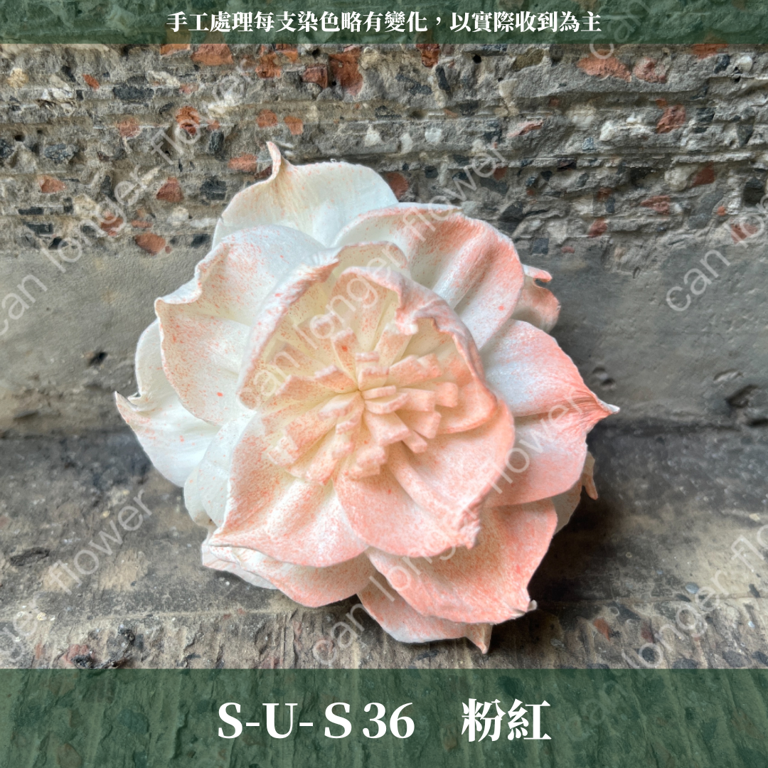 ✿ 台灣現貨 ✿ S-U 索拉花 6CM 通草花 擴香花