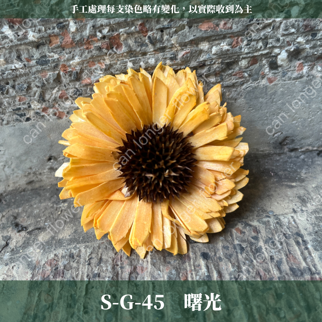 ✿ 台灣現貨 ✿ S-G 索拉花 6CM 通草花 擴香花