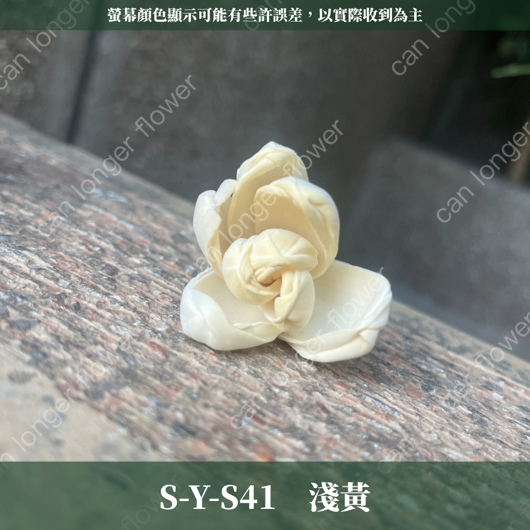 S-Y 索拉花 4CM 通草花 擴香花 台灣現貨