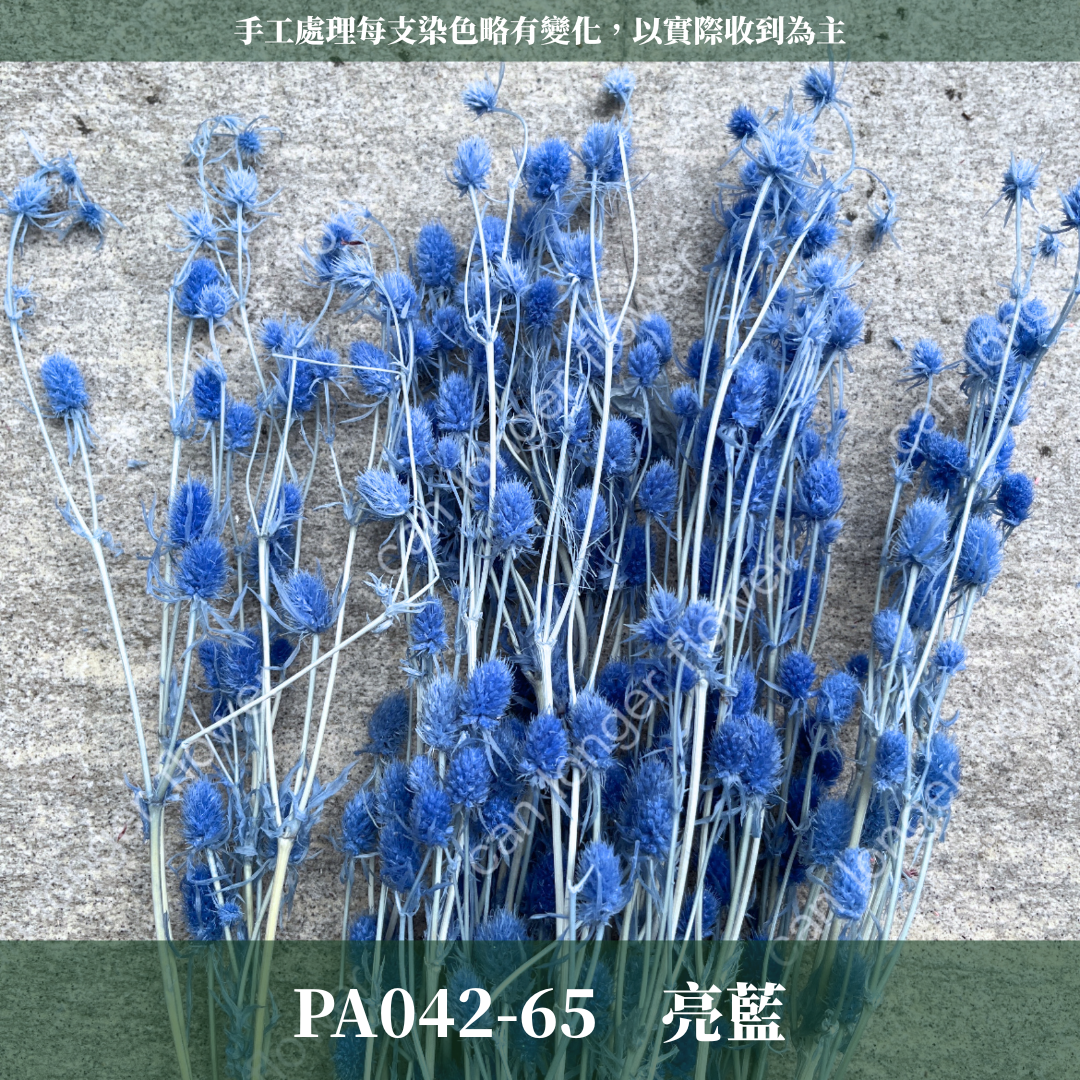 ✿ 台灣現貨 ✿ PA042 小薊果 紫薊花 刺芹花 小薊花