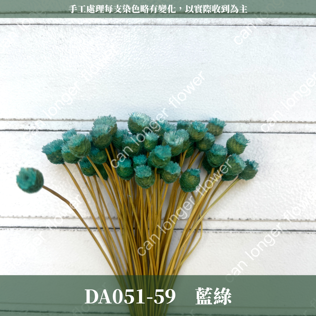 ✿ 台灣現貨 ✿ DA051 巴西快樂花