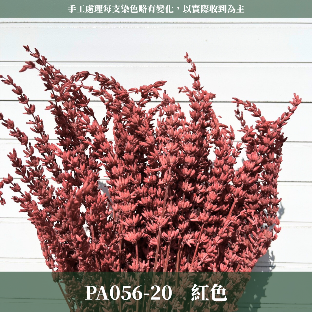 ✿ 台灣現貨 ✿ PA056 薰衣草 原裝
