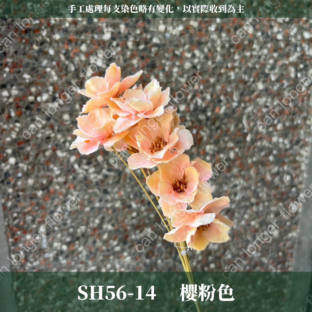 ✿ 台灣現貨 ✿ SH56 銀連花 原裝 10支裝 手工花