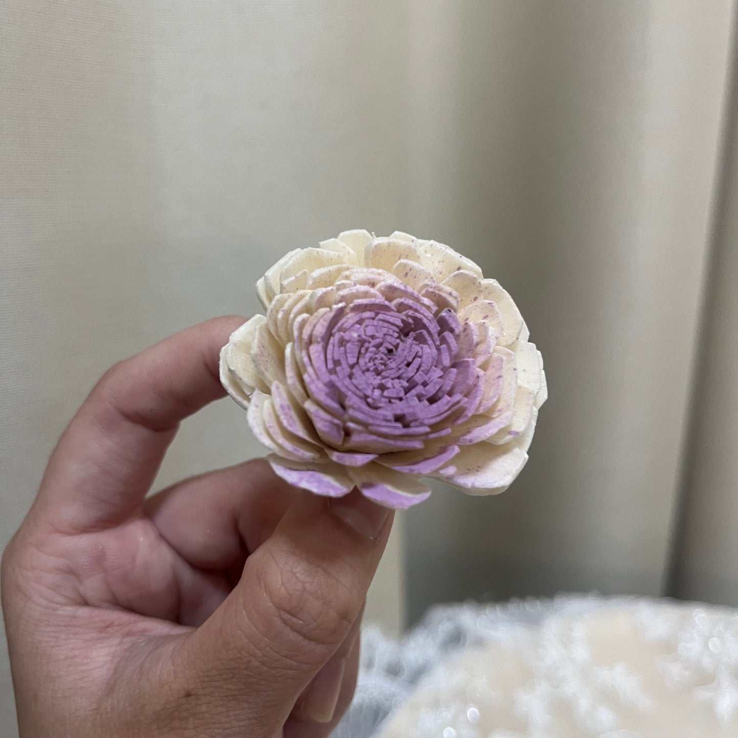✿ 台灣現貨 ✿ S-b 索拉花 4CM 通草花 擴香花 太陽玫瑰 日本大地 太陽菊