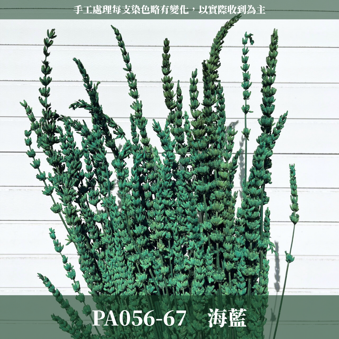 ✿ 台灣現貨 ✿ PA056 薰衣草 原裝