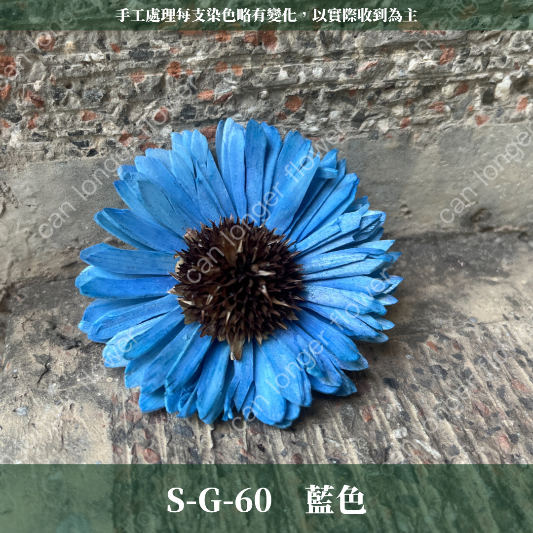 ✿ 台灣現貨 ✿ S-G 索拉花 6CM 通草花 擴香花