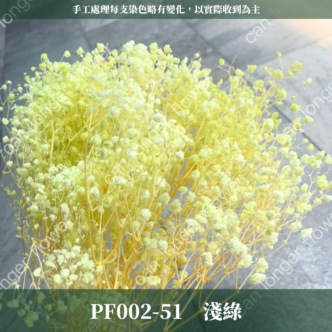 ✿ 台灣現貨 ✿ PF002 夢幻星