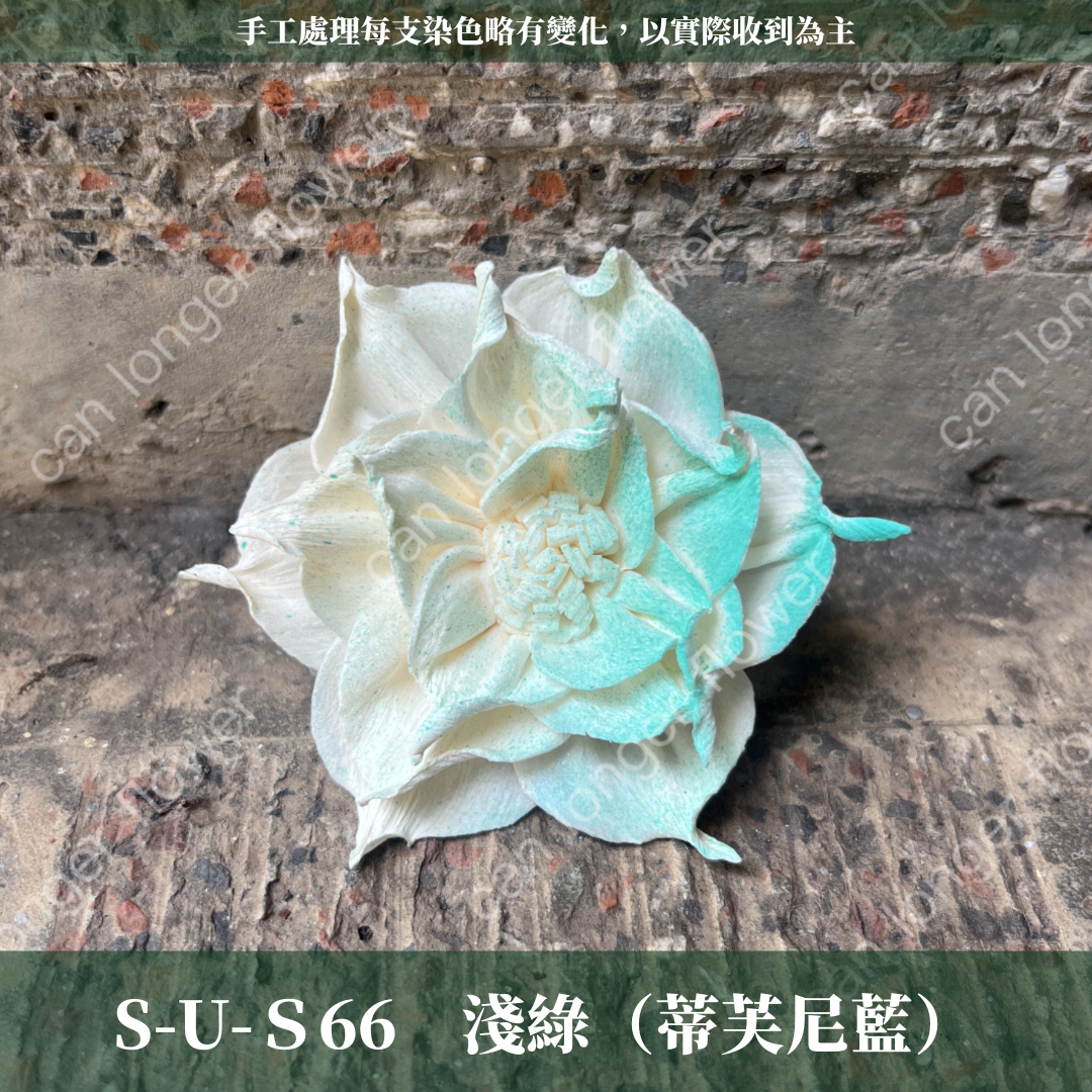 ✿ 台灣現貨 ✿ S-U 索拉花 6CM 通草花 擴香花