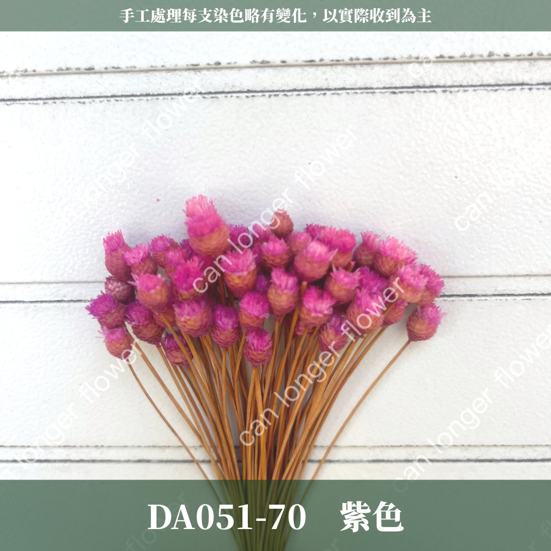 ✿ 台灣現貨 ✿ DA051 巴西快樂花