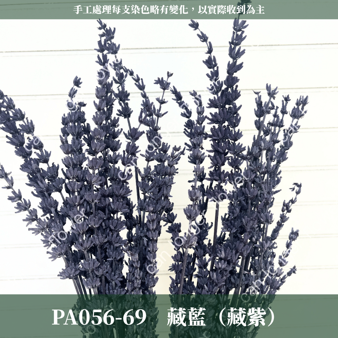 ✿ 台灣現貨 ✿ PA056 薰衣草 原裝