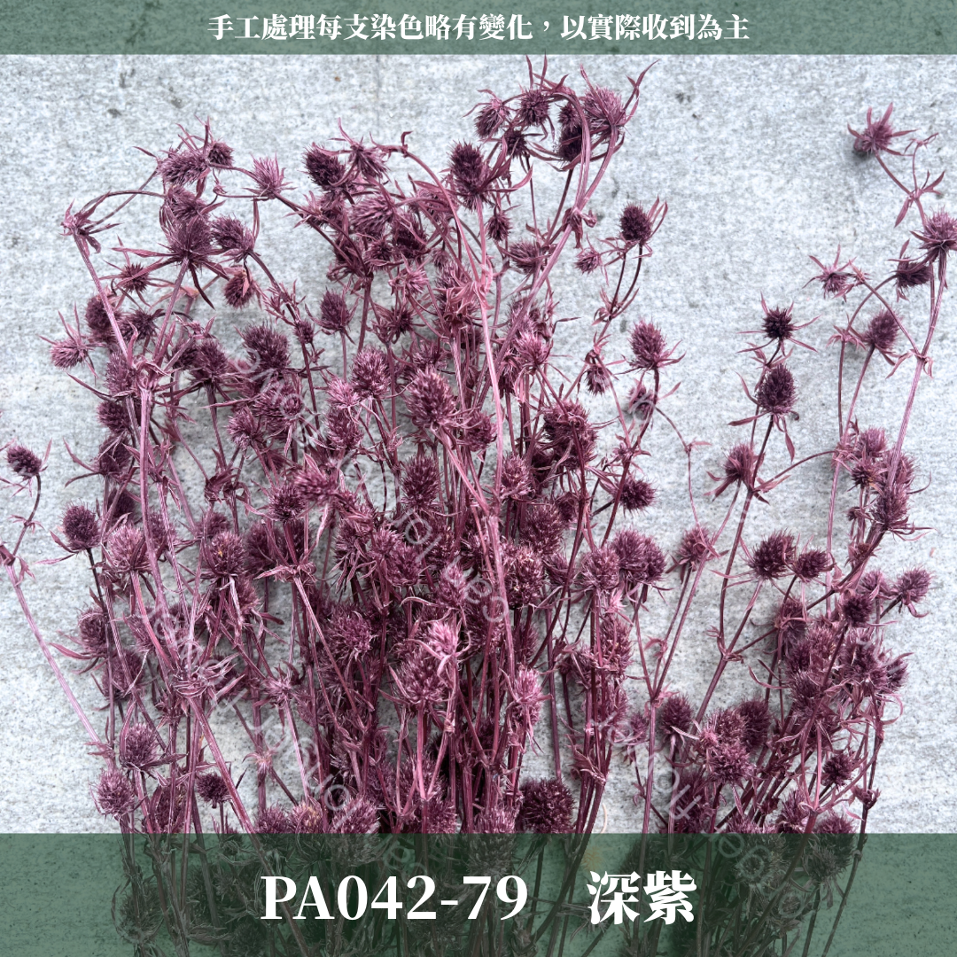 ✿ 台灣現貨 ✿ PA042 小薊果 紫薊花 刺芹花 小薊花