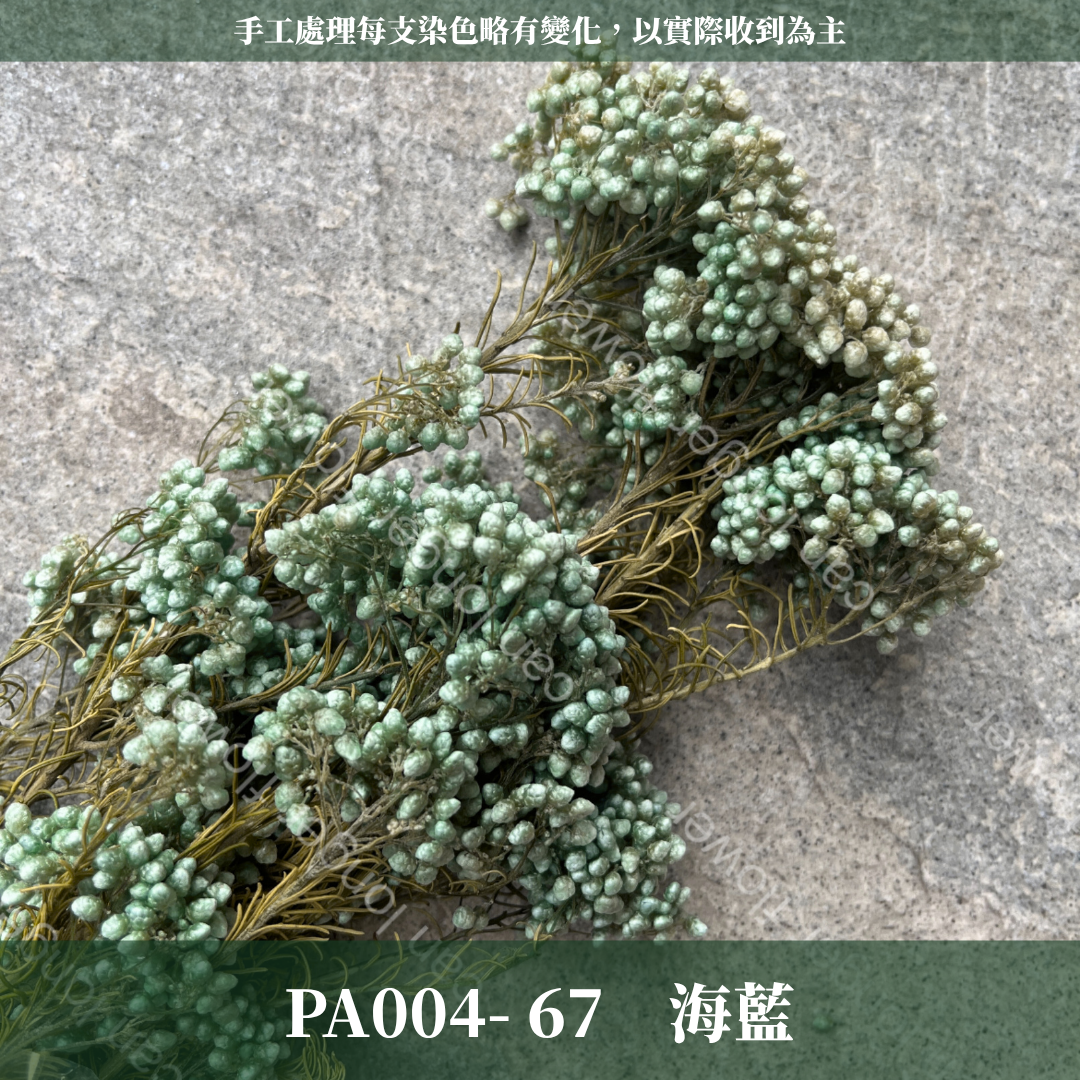 ✿ 台灣現貨 ✿ PA004 米香 水稻花 小米花