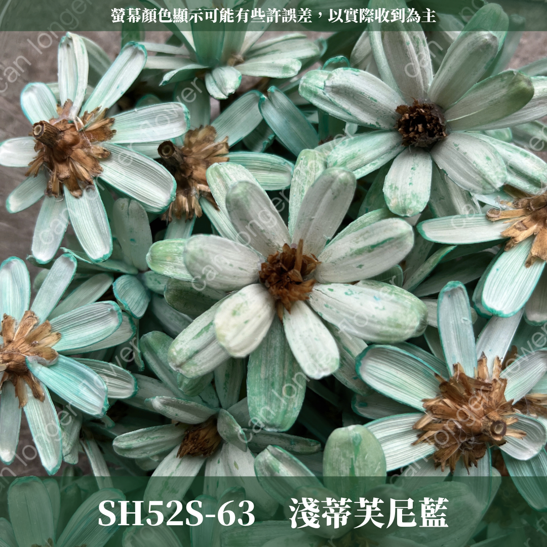 SH52S 瓜子花花頭 單朵 台灣現貨