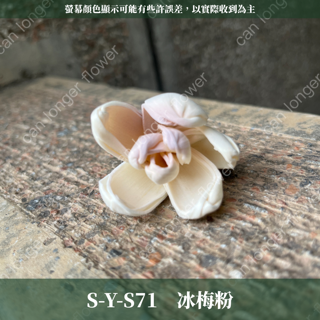 S-Y 索拉花 4CM 通草花 擴香花 台灣現貨