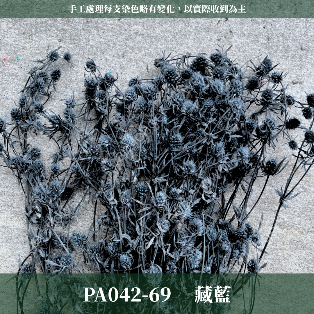 ✿ 台灣現貨 ✿ PA042 小薊果 紫薊花 刺芹花 小薊花