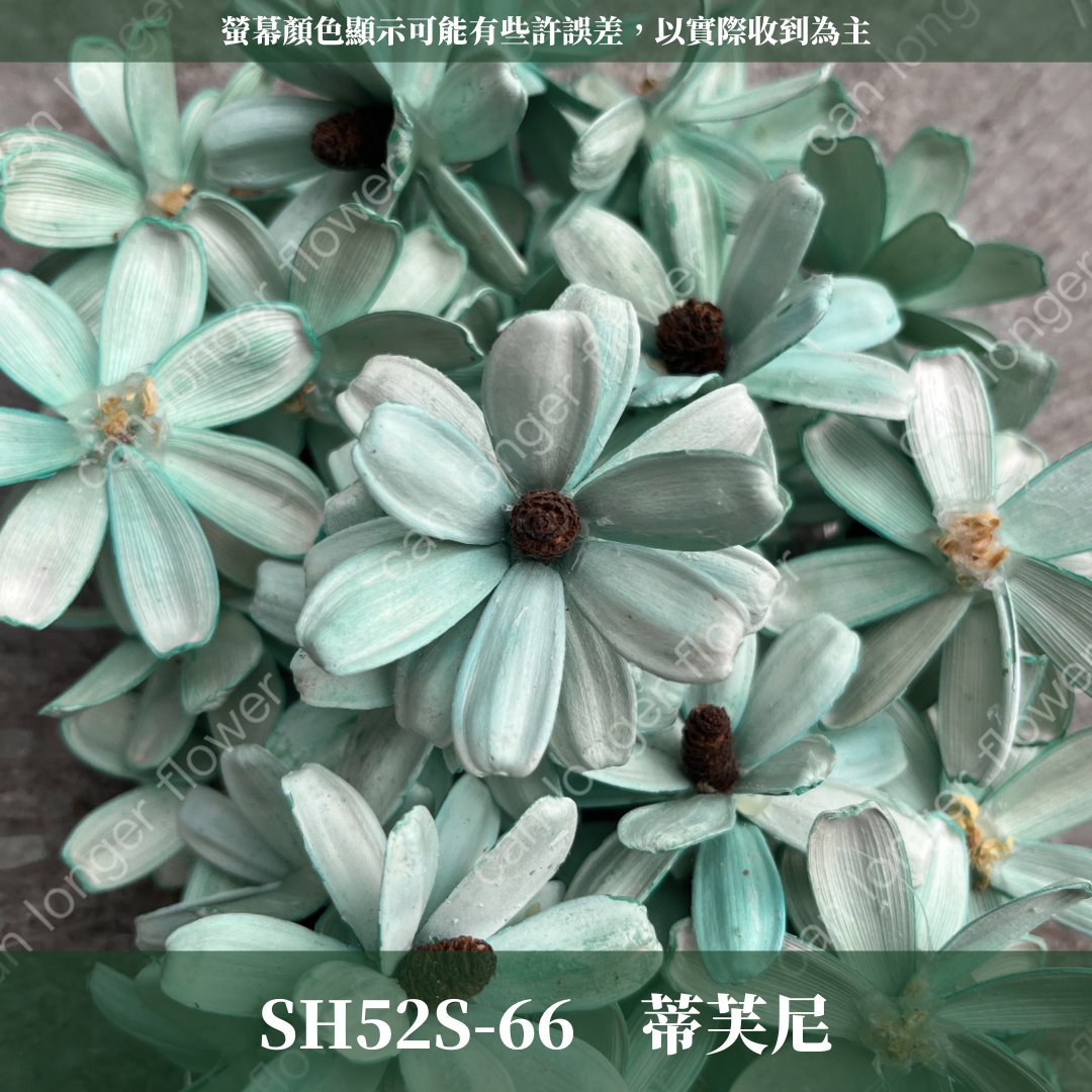 SH52S 瓜子花花頭 單朵 台灣現貨