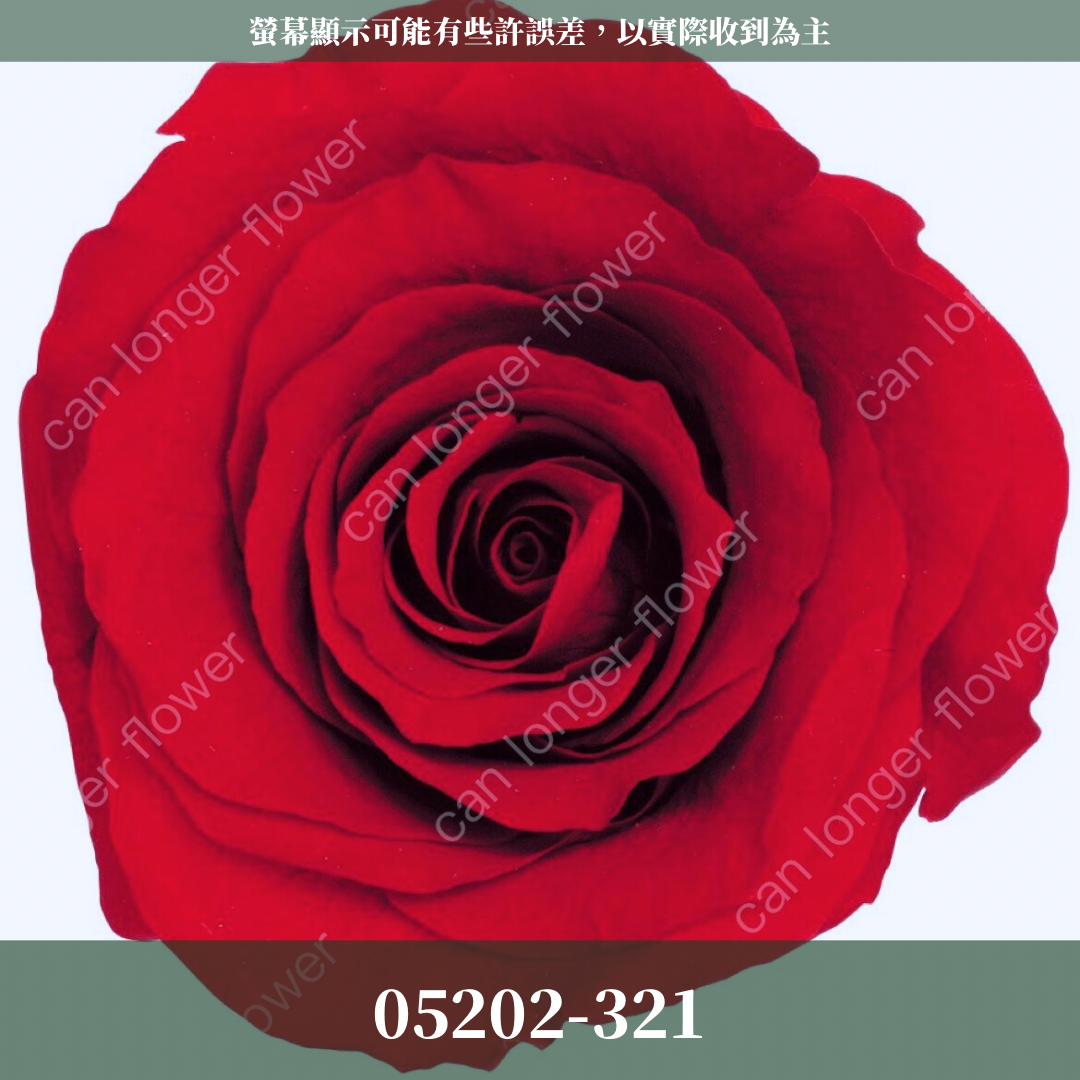 【台灣現貨】花大伯 05202 日本大地農園 大玫瑰 9朵裝 原裝 款式色彩齊全 永生玫瑰 不凋玫瑰